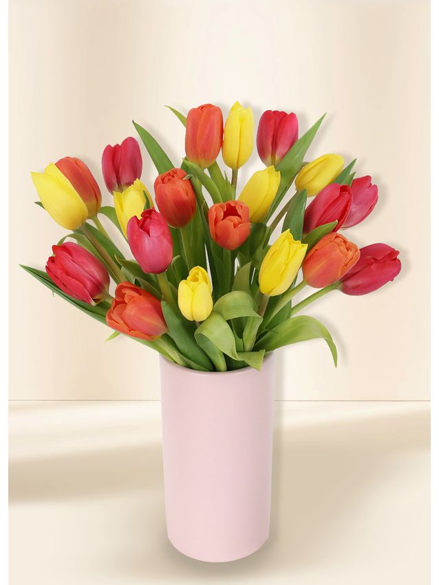 Tulips - Vivid (20)