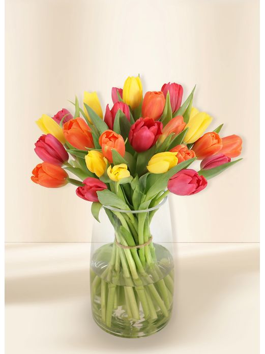 Tulips - Vivid (30)