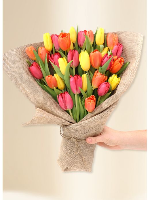Tulips - Vivid (30)