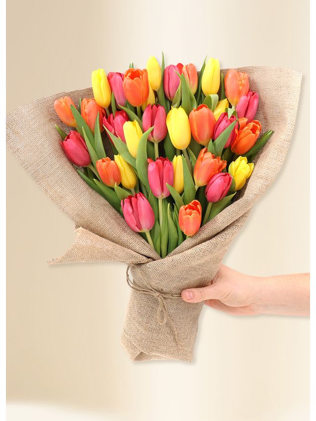 Tulips - Vivid (30)