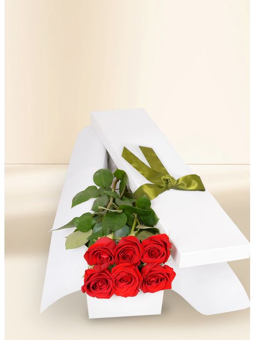 6 Red Rose Stems for Valentine's Day