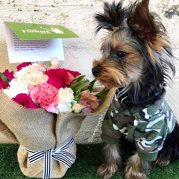 What Color do you Wear on Mother Day if your Mother is Deceased Buy