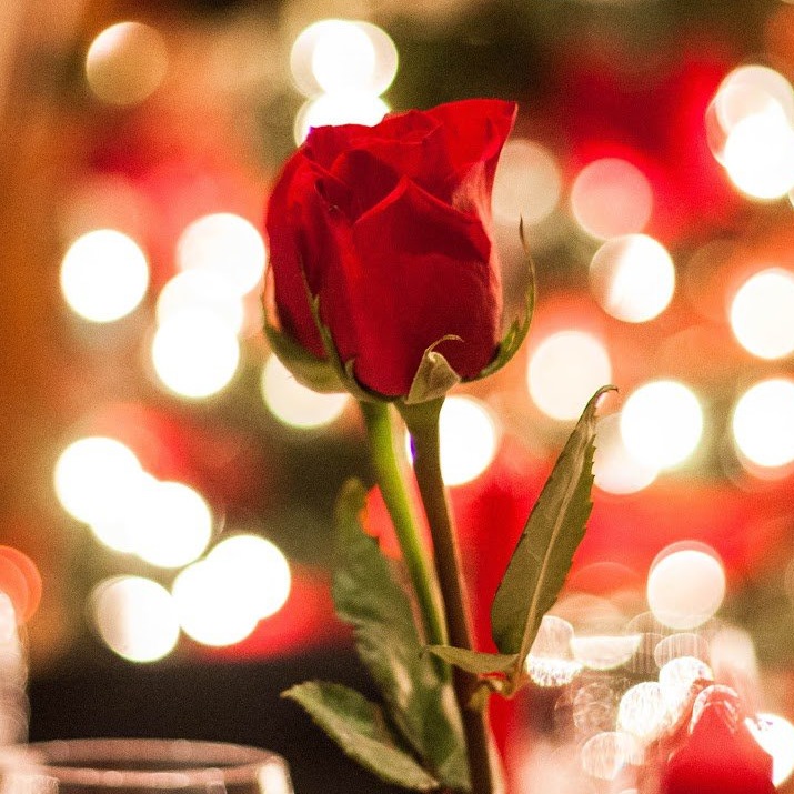 5 of the Best Valentine’s Day Flower Ideas