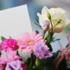 Valentine's day gifts