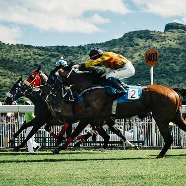 3 Musts For Melbourne Cup Party Hosts