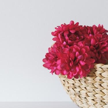 5 Tips For Taking Fantastic Flower Photos
