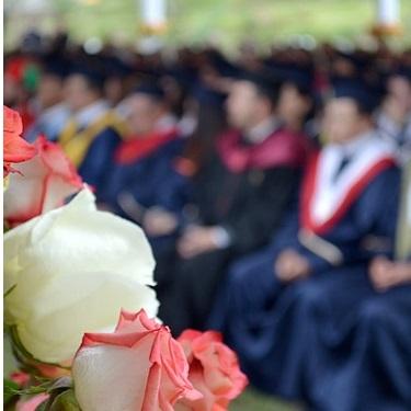 Celebrate Graduation With Colour Coordinated Flowers