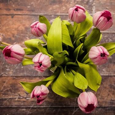 Flower Centrepiece Arrangement Ideas For Every Season