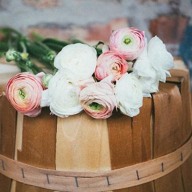How To Trim And Treat Flowers So That They Last Longer