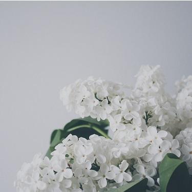 Sympathy Flowers Etiquette & FAQ