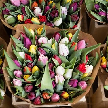 The Benefits Of Signing Up To A Floral Subscription Service