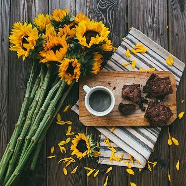Top 5 Flower Arrangements That Say I'm Sorry