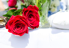 Fresh Flowers: Send Flowers Online | We Deliver Across Australia